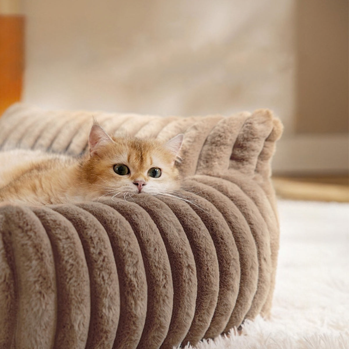 Đệm nằm cho chó mèo Cloud Sofa có thể tháo vỏ