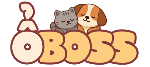 Ổ Boss