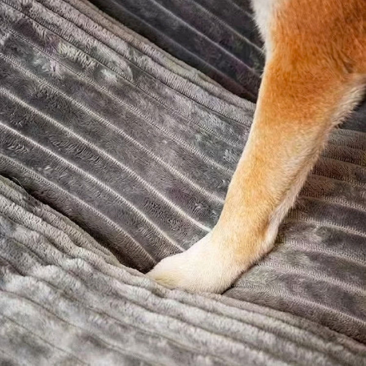 Đệm cho chó PET HEAVEN cao cấp êm ái có thể tháo vỏ